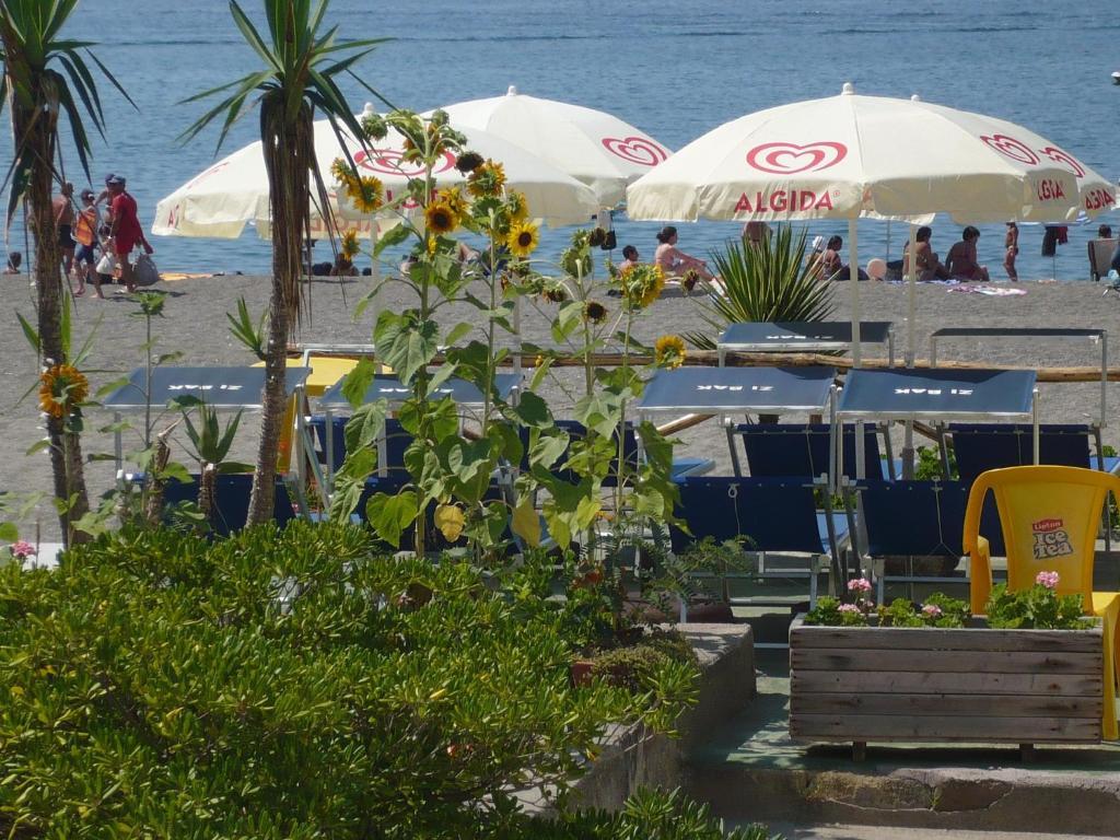 Zi Bak Bed & Breakfast Barano dʼIschia Екстериор снимка